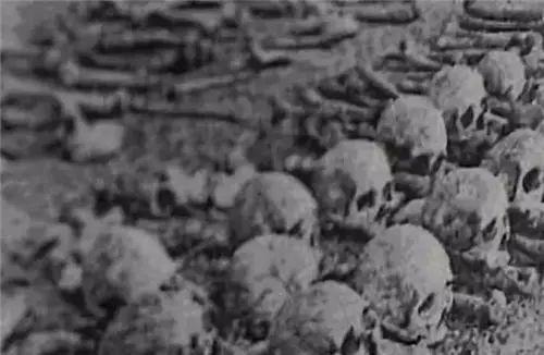 阿波丸號打撈事件：人道主義歸還與賠償爭議