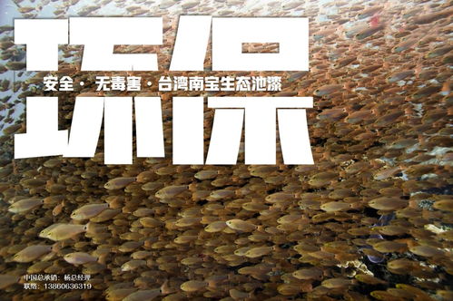 育苗池漆與養(yǎng)殖池漆在循環(huán)水工廠化水產養(yǎng)殖中的核心作用機理